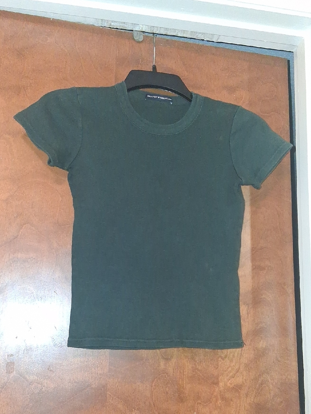 Brandy Melville Dark Green Ribbed Crop Tee